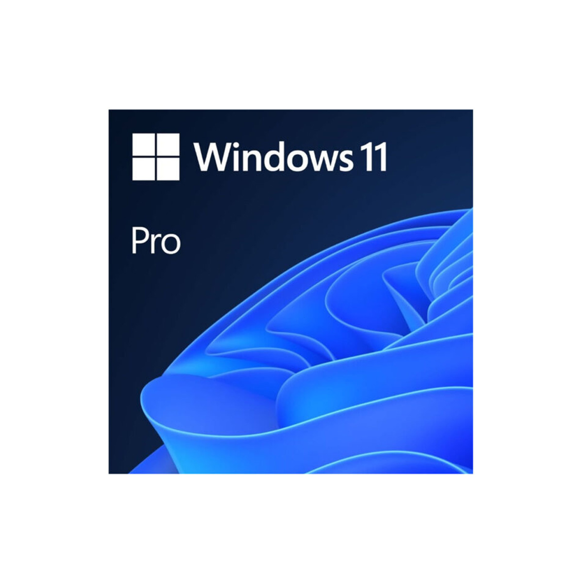 Windows 11 professional 64bit tachyon tech