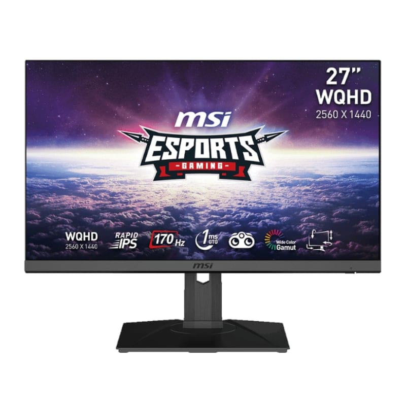 27" MSI G272QPF Gaming Monitor 2560 x 1440 (QHD) Rapid IPS 1ms 170Hz G-Sync Compatible HDR Ready HDMI Displayport Tilt Swivel Height Adjustable Pivot